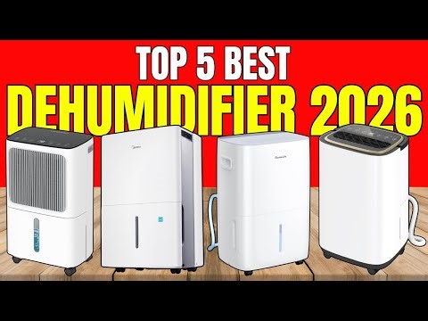 BEST Dehumidifiers of 2025 (Tested for Basements, Bedrooms & More)