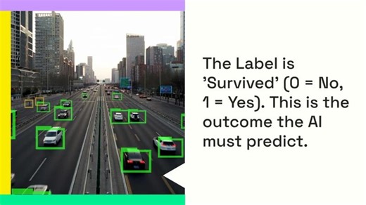 How to Read Any Dataset No Code Needed | Ryan Jowitt