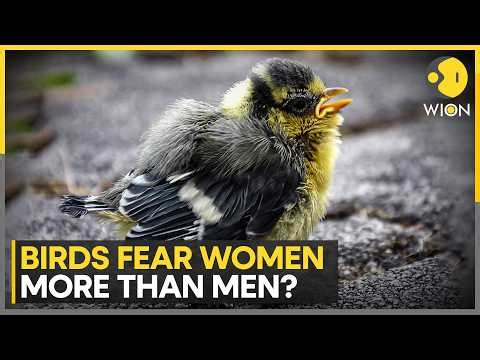Study Reveals More About How Birds Interact With Humans | WION News