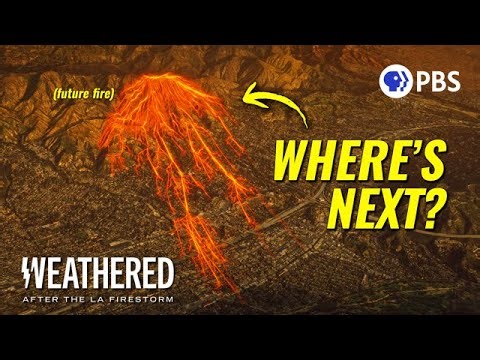 Inside the LA Firestorm: What Went Wrong (One Year Later)