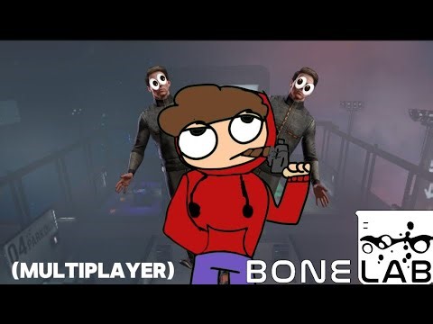 A Random Fun Stream - [Bonelab multiplayer] and whatever else.