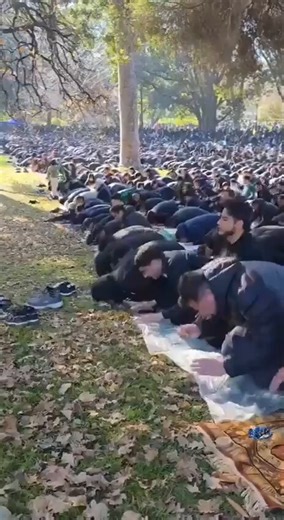 📽️⛔️I S L A M🚨1. Violar, casarse y divorciarse de niñas prepúberes. Corán 65:42. Tener esclavas sexuales y esclavas laborales. Corán 4:3, 4:24, 70:303. Golpear a las esclavas sexuales, esclavas laborales y esposas. Corán 4:344. Tener cuatro testigos varones para probar la violación. Corán 24:135. Matar a quienes insulten al Islam o a Mahoma. Corán 33:576. Crucificar y amputar a los no musulmanes. Corán 8:12, 47:47. Matar a los no musulmanes para garantizar recibir 72 vírgenes Corán 9:1118. Mat