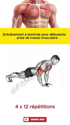 Entraînement à domicile pour débutants: prise de masse musculaire 🔥💪 #fitness à la maison