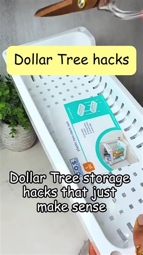 Top Dollar Tree Storage Hacks for Easy Organization