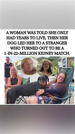 Her Dog Led Her to a Stranger Who Saved Her Life | A 1-in-22-Million Kidney Match ❤️🐶