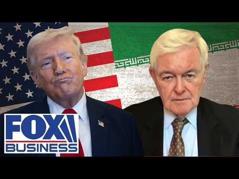 Gingrich: Dems would rather LOSE these cities than concede that Trump is CORRECT on this