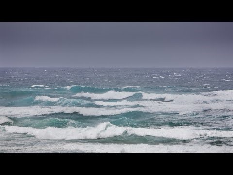 A Sydney mum died a hero while rescuing her drowning son