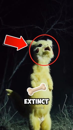 Animals That Came Back From Extinction 😳