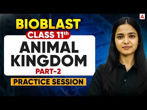 Animal Kingdom Class 11th Biology - Most Important Questions Practice Session (PART - 2)