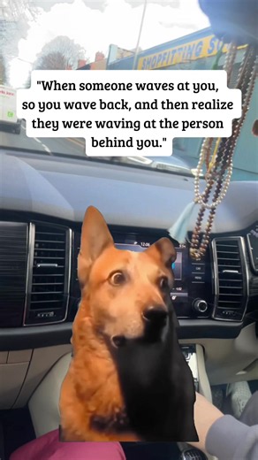Has This Ever Happened to You? 🤦🏻‍♂️🤣 Relatable Banter Moment