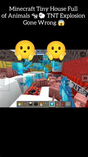 👉 Minecraft All Animals Trapped in Tiny House 💥 TNT Blast Challenge | Ultimate Experiment