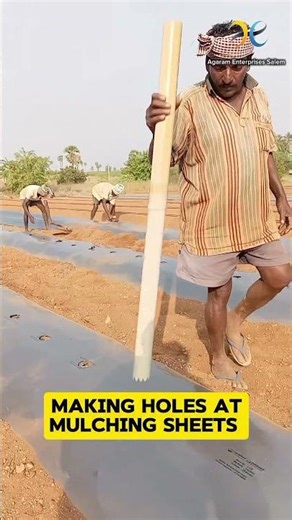 mulch sheet bed preparation and mulch cropping#agaramenterprises #mulching #agriproducts #viral