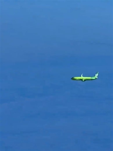 Boeing 737 Cockpit View | S7 Airlines Cruise Flight