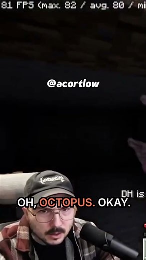 Wait, Is That an Octopus_! #acortlow #acortlowgames #minecraft #newyear