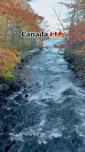 Road trip in Autumn 🍂 Halifax Nova Scotia Canada 🇨🇦