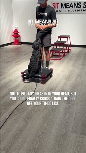If “Train the Dog” Keeps Getting Pushed Back…