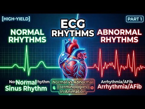 ❤️ Normal Rhythm vs Abnormal Rhythm | ECG Terminologies Part 1 | Simple Animation