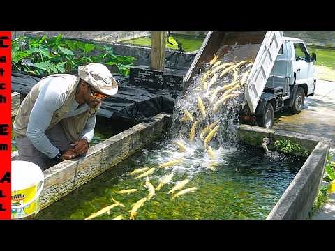 The FISH FARM is IMPORTING New MONSTER FISH!
