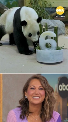 Panda watch with Zoo Atlanta panda Fu Shuang