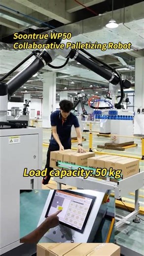 Soontrue Collaborative Palletizing Robot