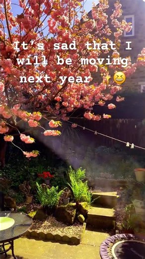 I’m using a filter to make the colors bloom more btw:3