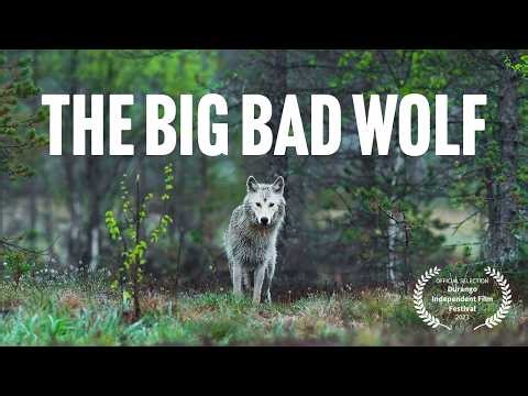 The Big Bad Wolf