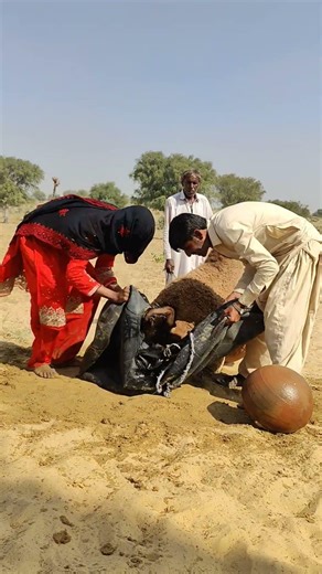 Thar Desert: A girl and a boy's love for a camel,cooling it off in the traditional way #desertbeauty