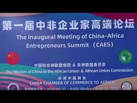 China-Africa entrepreneurs summit calls for deepened cooperation