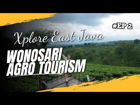 WONOSARI AGROTOURISM EAST JAVA - Hidden Paradise You MUST Visit | Xplore East Java EP 2