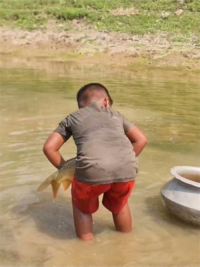 Amazing Boy Catching Fish By Hand #fishing