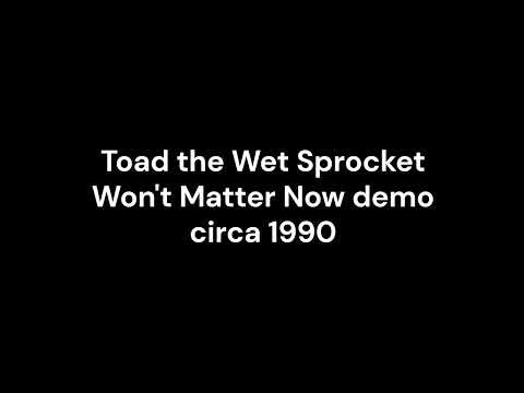 Toad the Wet Sprocket - Won't Matter Now demo circa 1990