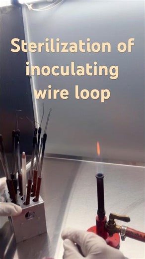 Method of sterilization of inoculating wire loop |Red heat method |Dry heat method #microbiology