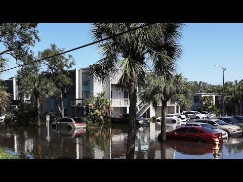 Florida state-run home insurance generates major profits for outside companies, CBS News finds