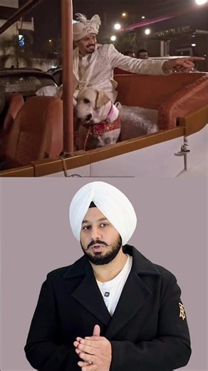 A Groom Took His Dog to His Wedding — This Is What True Love Looks Like