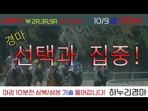 10/9(금) 연일 임팩트 폭발! 승부처 삼쌍168배 쌍42배 쌍46배...! 경마 선택과 집중! 이기는 경마! 관건은 임팩트!! 경주별 삼복/삼쌍 기술 들어갑니다!!