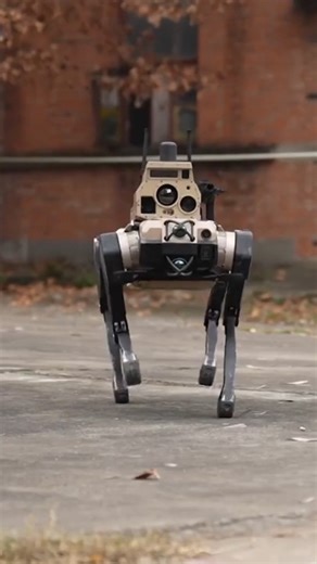 Clip reveals China’s wild killer robot move