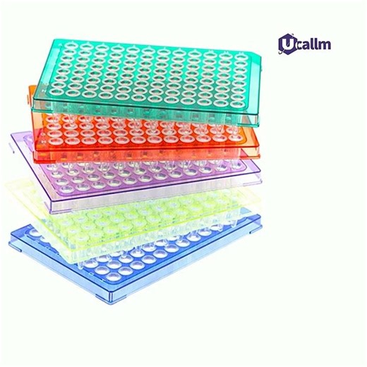 A Day in the Lab: The PCR and Agarose Gel Electrophoresis Workflow