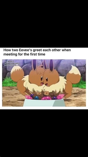 how 2 Eevee's greet each other 😂