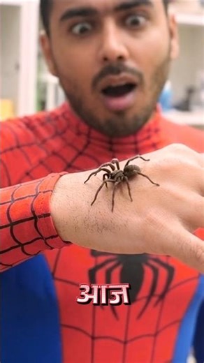 Try to become Spider at Home #shorts #gadgets