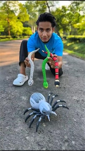 Remote Control Kankhajura and RC Snake