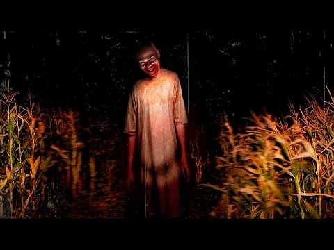 The Real TERROR of Meeting a Vampire