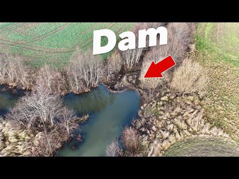 Destroying a Beaver Dam! Watch the Water Break Through