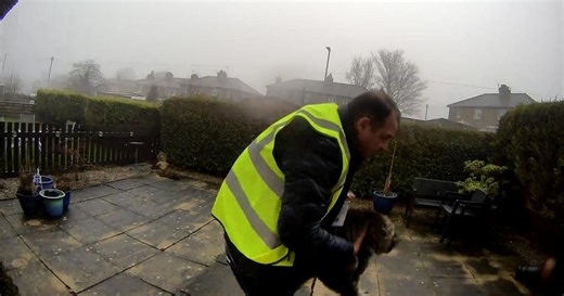 Delivery driver caught on doorbell camera taking pet cat from garden avoids jail