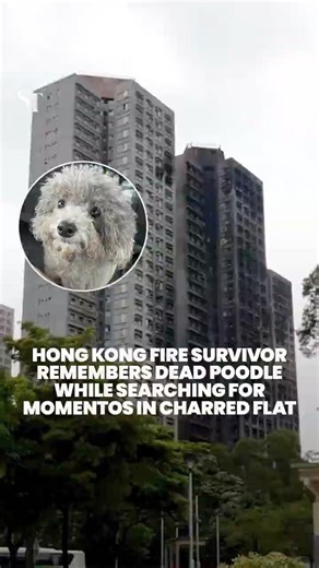 Hong Kong fire survivor returns to Wang Fuk Court to find dead poodle’s momentos