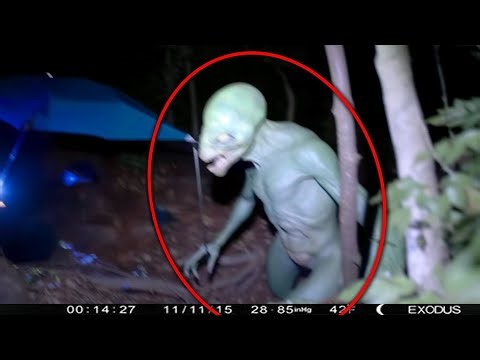 Real Creatures Captured on Camera in the Middle of Nowhere