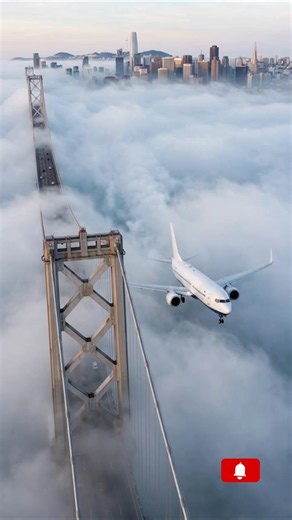 Boeing 737 Flying INSANELY Low Over San Francisco Bay Bridge in Thick Fog! #aviation #shorts #flight