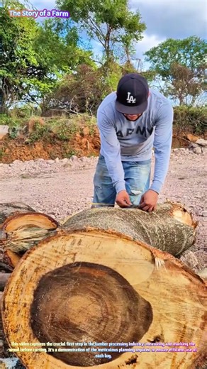 Measuring and Marking Lumber: Precision in Woodworking 📏🔧