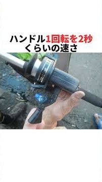 メバル釣りのコツ3選