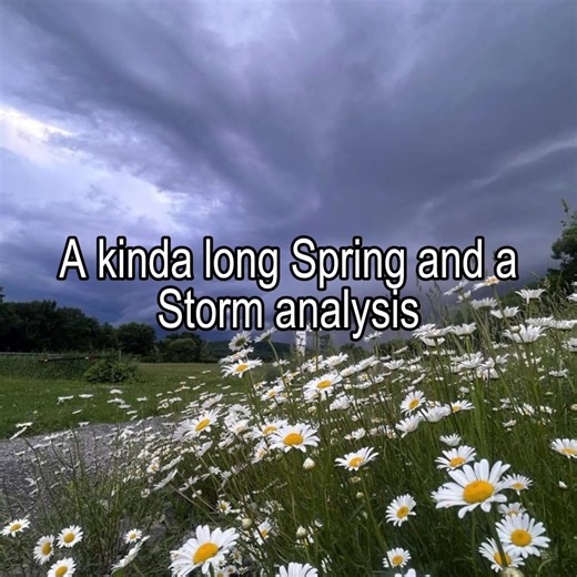 no wonder I relate to this song so much || #springandastorm #tallyhall #fyp #viral #music