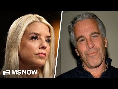 Democrats declare ‘a new phase’ in Epstein files story with key testimonies coming soon